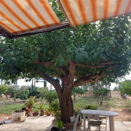 Il gazebo-2
